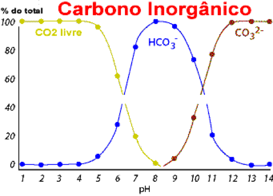 Carbono inorgânico